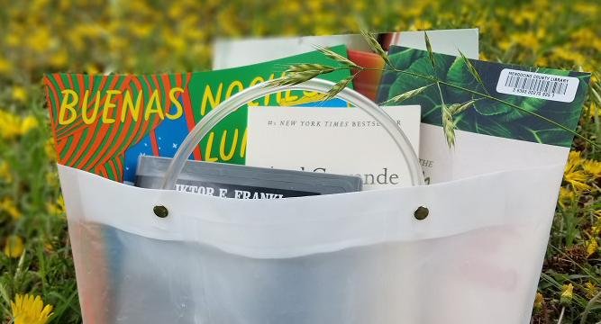 Bag of books on lawn.