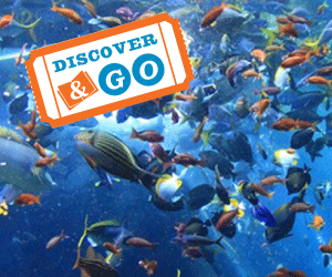 Discover-and-Go