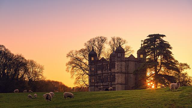 Castle with sunset and sheep in foreground