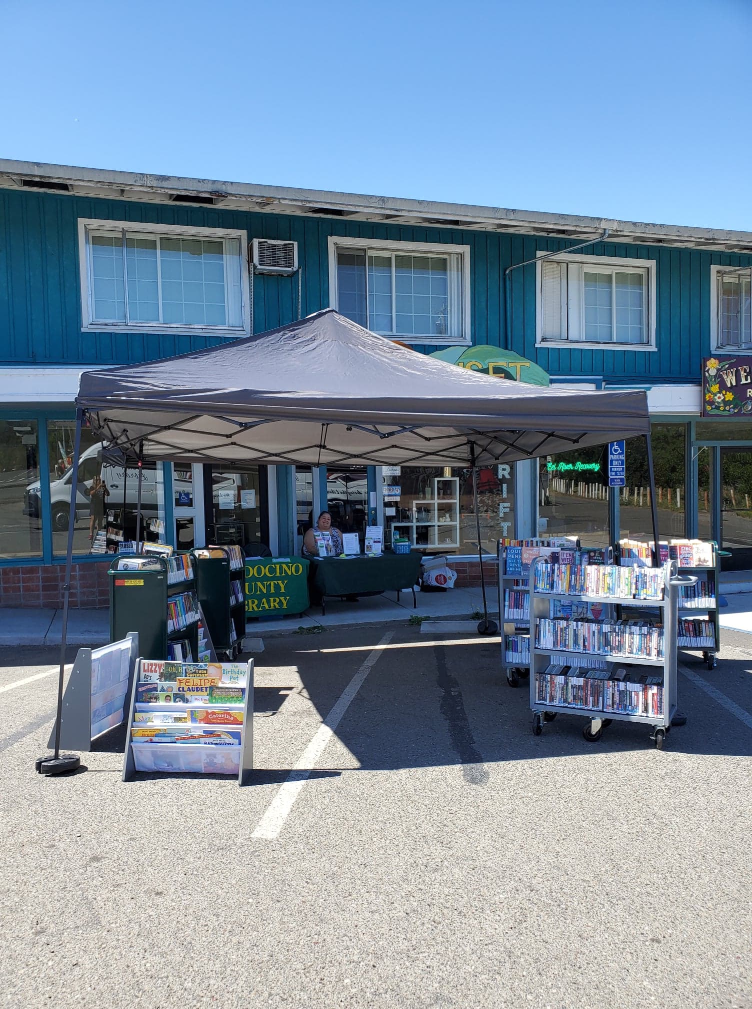 library carts full of books under an awning and a woman sitting behind a table