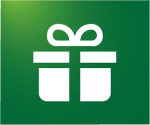 outline of gift box with green background