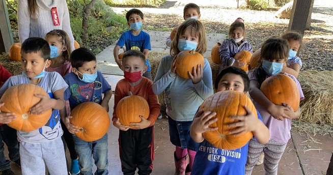 Pumpkins and kids at RV