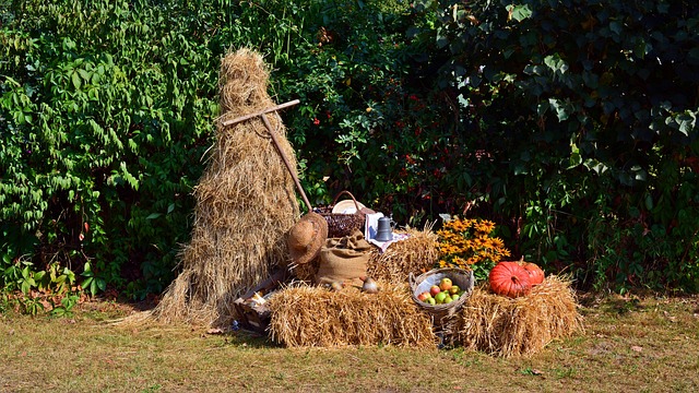 Harvest Festival Display