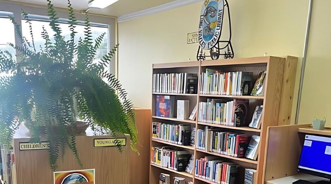 Bookshelves and plant.