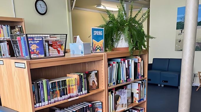 Bookshelves and plant.