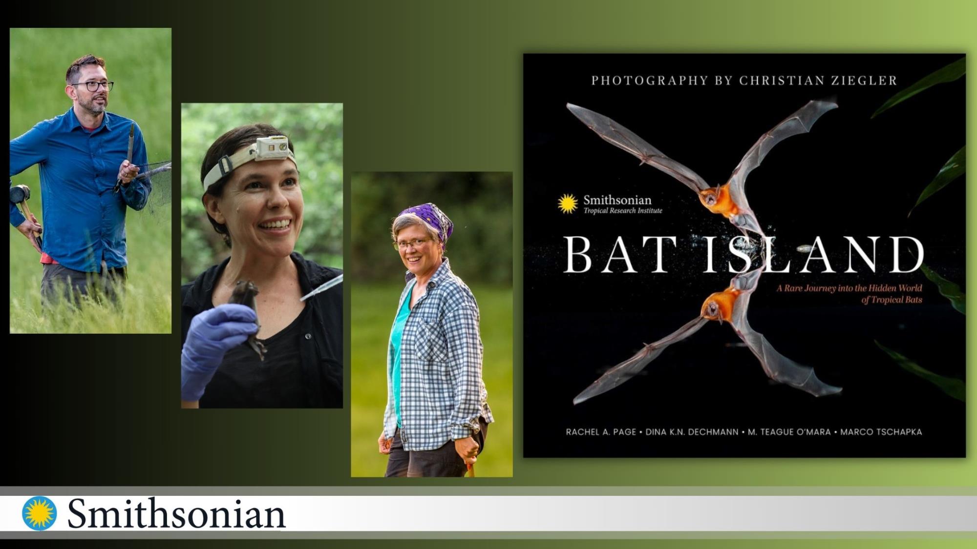 Register for Author Talk about Bat Island.