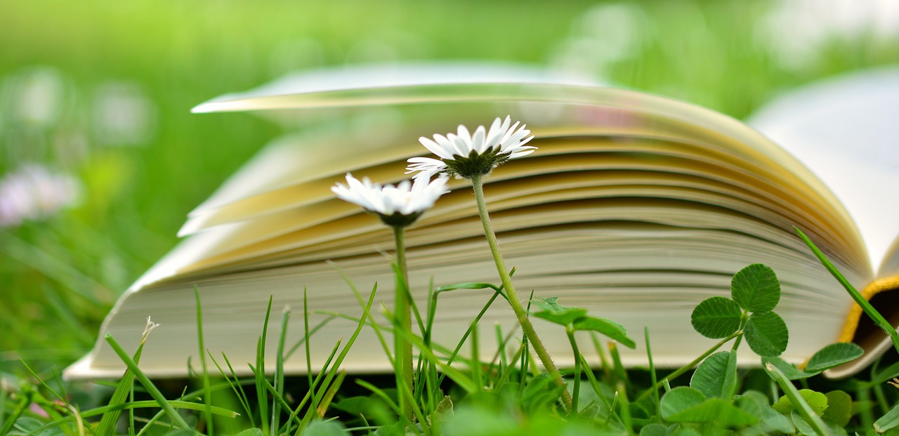 book laying on lawn with daisies.