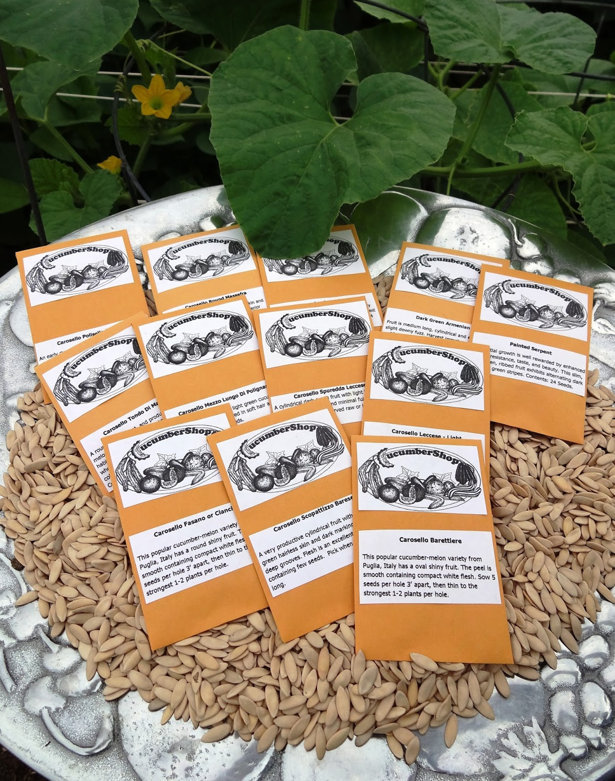 Seed packets amid green foliage and seeds.